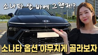 소나타 디엣지 나라면 이렇게 산다! [신형 소나타 옵션 추천]