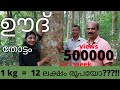 ഊതിന്റെ തോട്ടം, ഒരു കിലോക്ക് 12ലക്ഷം രൂപയോ/Rincy'skitchen&vlog