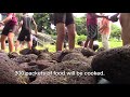 key project in kahaluu teaches the art of imu