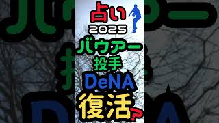 【プロ野球2025】DeNAバウアー投手復帰?!を占う #プロ野球 #dena #占い