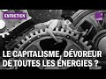 Le capitalisme, dévoreur de toutes les énergies ?