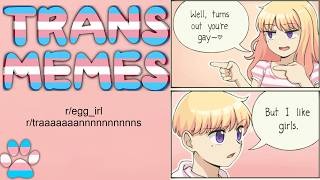 🏳️‍⚧️ TRANSGENDER MEMES to Keep The Dysphoria Away :3 | r/egg_irl