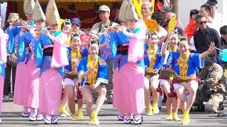 阿波おどり「うきよ連」はな・はる・フェスタ2018@徳島藍場浜