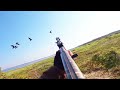 spring Goose Hunting goose hunting 2024