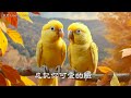 秋戀 mv love in autumn mv