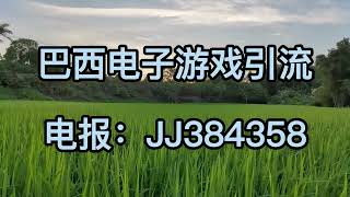 巴西游戏最好最新最暴力引流渠道tg：jj384358