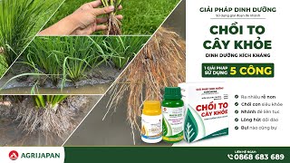 AgriJapan | Giải pháp tiết kiệm lượng giống gieo sạ