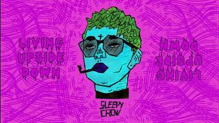 Sleepy Crow - Living Upside Down (Official Audio)