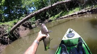 FISH4FUN:  KAYAK ADVENTURE FINDING NEW WATER