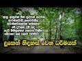 දුකෙන් නිදහස් වෙන ධර්මයක් samma ditthi uk