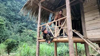 Single mother harvests wild cassava to sell to villagers - corridor design for house | Nhì Free life