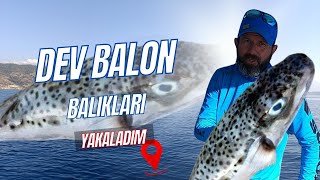 Dev Balon Balıklarının içinden geçtim - Fix Marine V67 model teknede küçük bir Kahve Molası