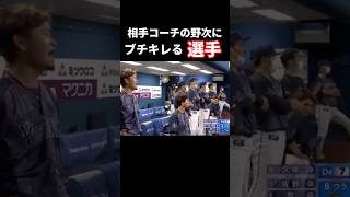 相手コーチの野次にブチギレてしまう選手 #プロ野球