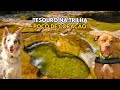 Aventura Em Capitólio - MG | Dicas de Viagem + Hotel Pet Friendly | Cachoeira Da Capivara + Canyons