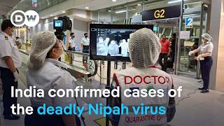 How deadly is the Nipah virus compared to the Coronavirus? | DW News