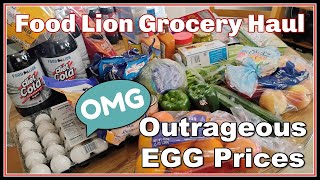 Food Lion Grocery Haul | Outrageous Egg Prices
