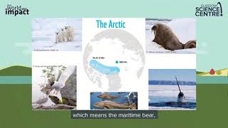 WWF Talk  - Human wildlife conflict in the Arctic