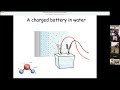 the fourth phase of water beyond the three you already know rtf lecture with dr. gerald pollack