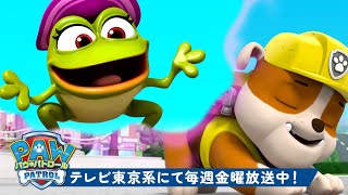 パウ・パトロール | パウ・パトロールの子犬たちの奇妙な夢！#3 ラブルと一緒 | 10分 | Nick Jr. | テレビ東京系にて放送中