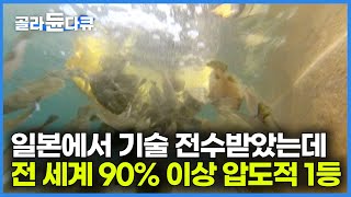 '생선회 천국' 일본에서도 한국산이 50%이상! 생산도 수출도 압도적 전 세계 1등｜귀한 고급 물고기가 이제는 압도적 인기 국민 횟감으로｜광어 양식장｜바다｜극한직업｜#골라듄다큐