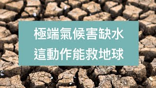 【特別企劃】別把地球當塑膠！環保餐具種類好多怎麼挑？世界地球日後一起減塑吧！