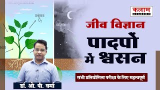 Reet Science Class - पादपों में श्वसन | Biology by Dr. OP Sir | Exam Important Topic | Kalam Academy