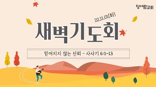 [청어람교회] 새벽기도회 설교 221101 - 믿어지지 않는 신뢰