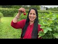 🍓லண்டன் தோட்டத்தில் ஸ்ட்ராபெரி பறிக்கலாம் 🍓 strawberry picking tamil vlog anitha anand london