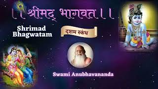 श्रीमद् भागवत | Shrimad Bhagwatam (Hindi) | दशम स्कंध | Talk 53 | Swami Anubhavananda