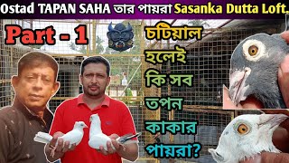 Ostad Tapan Saha Bloodline Pigeon 🕊️ Sasanka Dutta Loft at Bamangachi #madrasi_pigeon Part -1.