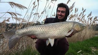 Carpfishing in a pond? I FreestyleFishing