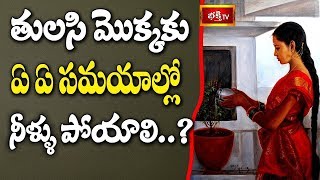 తులసి మొక్కకు ఏ ఏ సమయాల్లో నీళ్ళు పోయాలి? || Dharma Sandehalu || Bhakthi TV