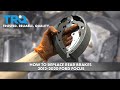 How To Replace Rear Drum Brakes 2012-2020 Ford Focus