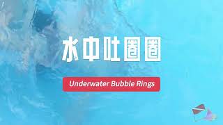 水中吐圈圈   一口氣可以吐多少個圈圈?  Underwater Bubble Rings - How many rings can you blow in one breath?