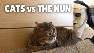 Cats vs The Nun | Kittisaurus
