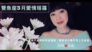 雙魚座3月愛情占卜❤️咪咪愛塔羅♓️Pisces March 2019 Love Tarot Reading