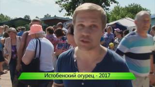 Праздник огурца в Истобенске. 31.07.2017. ИК \