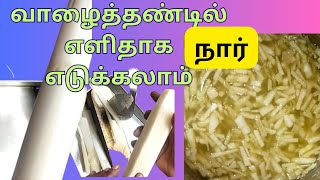 வாழைத்தண்டில் இருந்து மிக எளிதாக நார் எடுப்பது| வெட்டுவது முதல் நார் எடுப்பது வரை|banana stem clean