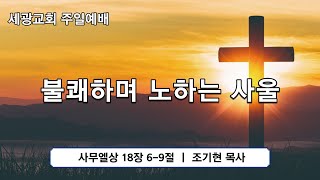 세광교회 주일1부예배(06.26)