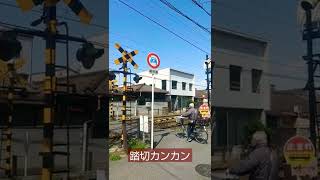 【踏切カンカン】阪堺電車 #railroadcrossing