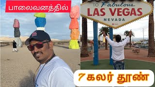 🇺🇸லாஸ் வேகாஸ் SIGNBOARD \u0026 7 கலர் தூண்களும்🏔️#LasVegasAdventures #7MountainHills#Lasvegassign#views