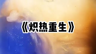 《炽热重生》一口气看完#小说 #已完结