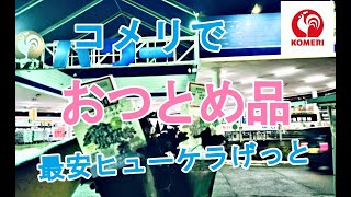 【ガーデニングDIY】おつとめ品ヒューケラめっちゃパリパリで最安値