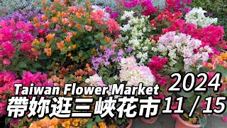 帶妳逛新北三峽花市~週末搶先看!丨2024/11/15丨Taiwan Flower Market 丨