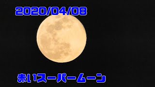 2020/04/08 赤いスーパームーン