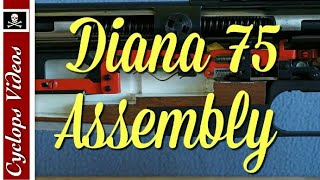 Diana 75 Piston Assembly