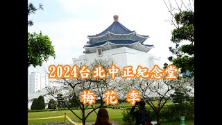 2024台北中正紀念堂梅花季