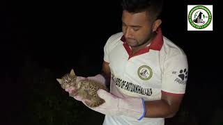 মেছোবাঘ (মেছো বিড়াল)উদ্ধার এবং অবমুক্ত।Rescue and release The Fishing Cat.