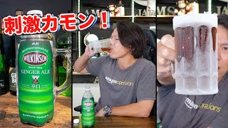 【キンキンぶっ決め】ウィルキンソン ジンジャエール（辛口）をがぶ飲み！