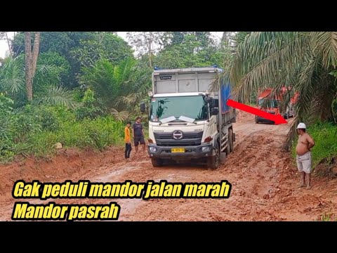 2 Hari Di Tambang Truck Muatan Batu Bara Nekat Melewati Jalan Yang ...